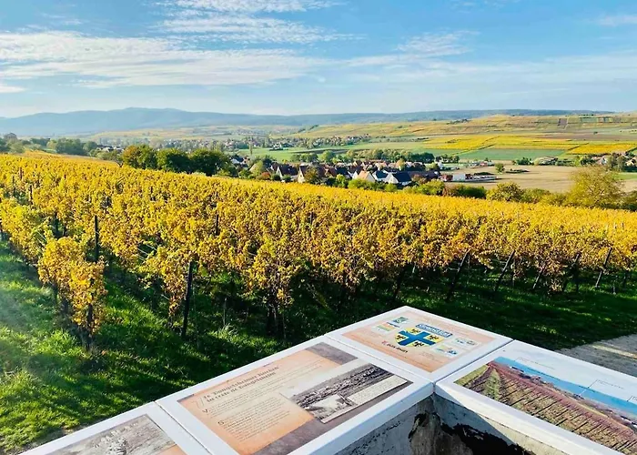 Chez Claire Et Cyril Soultz-les-Bains